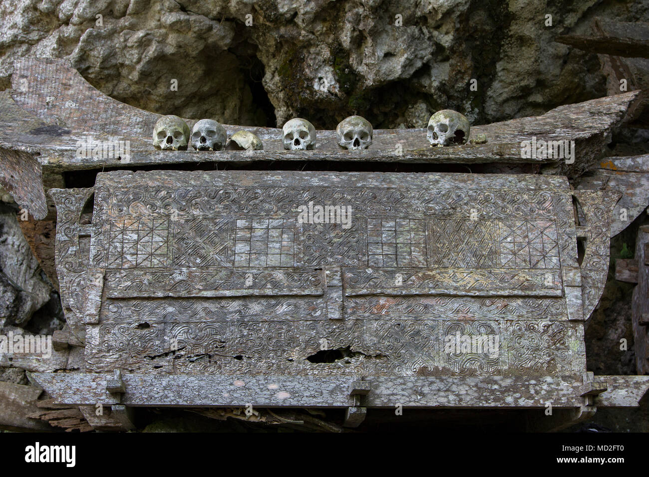 Teschi e tombe sul bordo di una scogliera a Toraja, sulawesi meridionale, indonesia Foto Stock