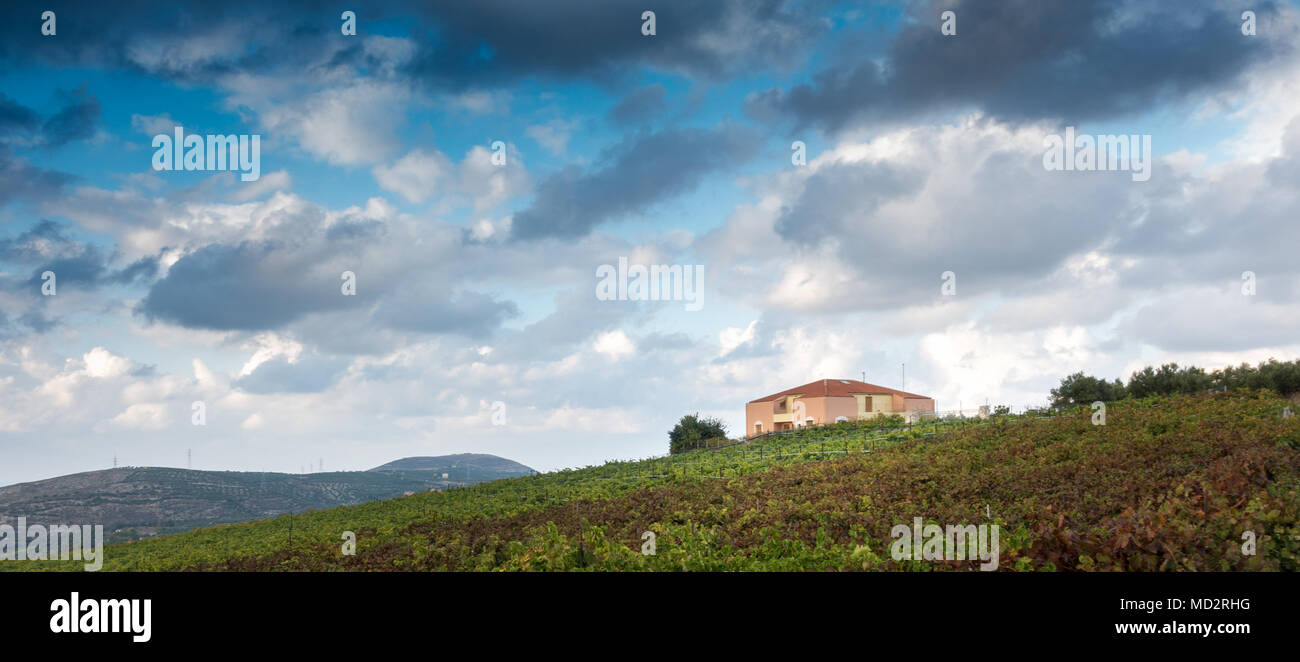 Vista panoramica di casale sul campo in erba di montagna in background, Creta, Grecia Foto Stock