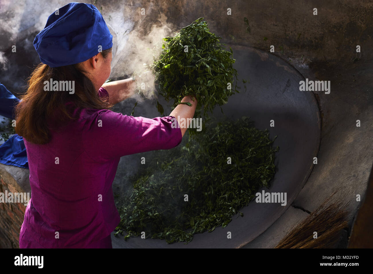 Cina Yunnan, distretto di Xishuangbanna, essiccazione le foglie di tè di Pu'er tè Foto Stock