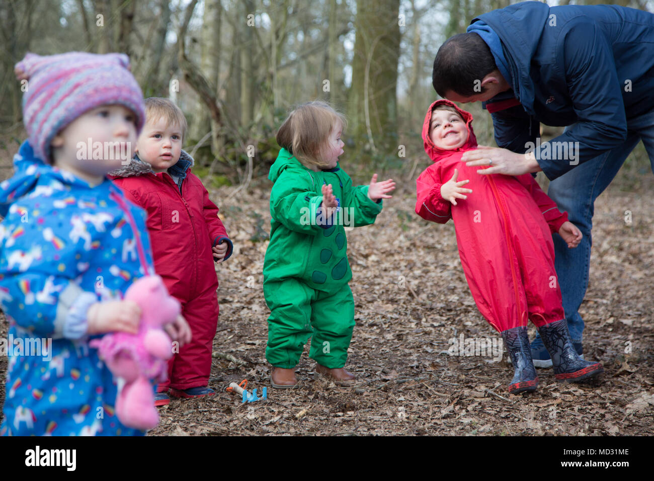 Scuola Forestale Foto Stock