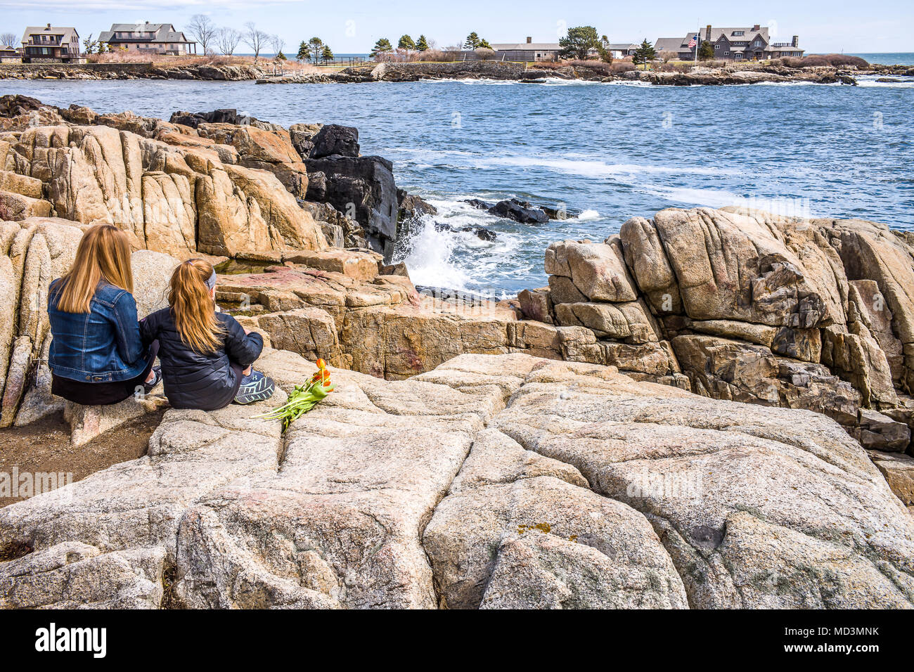 Kennebunkport, Maine, Stati Uniti d'America. 18 Aprile, 2018. (KENNEBUNKPORT, MAINE,U.S.A).,18 Aprile 2018 i primi tulipani dal giardino, per la First Lady Barbara Bush che è deceduto ieri. I suoi amici a Kennebunkport, non la dimenticherà mai e sono tutte di hopping che l ex Presidente PreFromer Georgesident George H.W. Bush ritorna alla Maine questa estate.Photo credit Richard F. Owens Alamy Live News Credito: Richard F. Owens/Alamy Live News Foto Stock