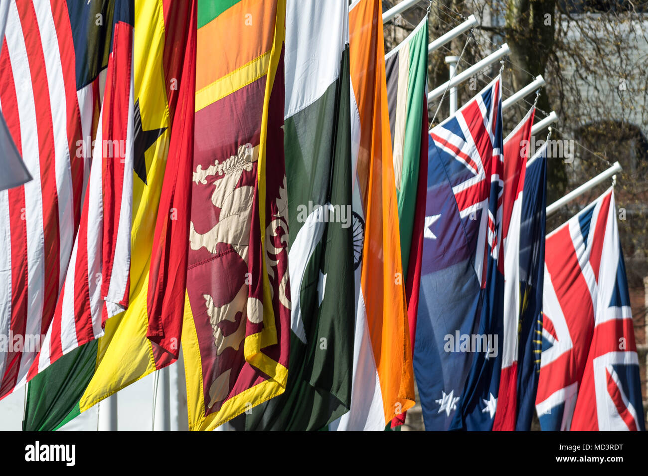 Londra, Regno Unito. 18 Aprile, 2018. Bandiere delle Nazioni del Commonwealth volare in piazza del Parlamento per celebrare la Giornata del Commonwealth 2018 sotto il tema "Verso un futuro comune". Credito: Guy Corbishley/Alamy Live News Foto Stock