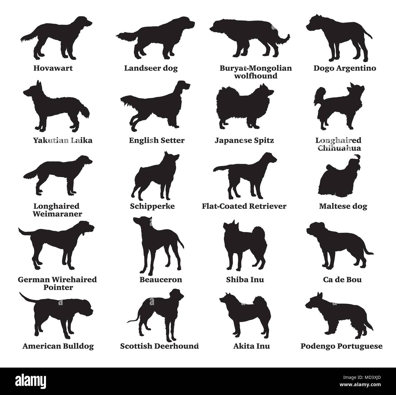 Set di vettore di diverse razze di cani sagome isolati in colore nero su sfondo bianco. Parte 7 Illustrazione Vettoriale