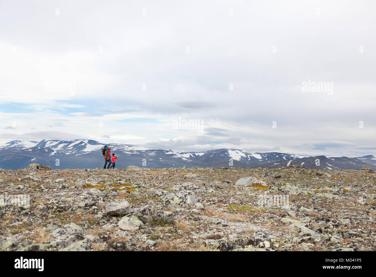 Vista in lontananza uomo con figli escursionismo paesaggio di montagna, parco nazionale di Jotunheimen, Lom, Oppland, Norvegia Foto Stock