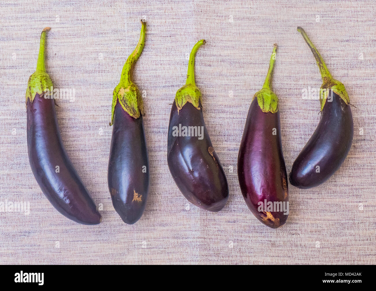 Le melanzane in una fila, vista aerea Foto Stock
