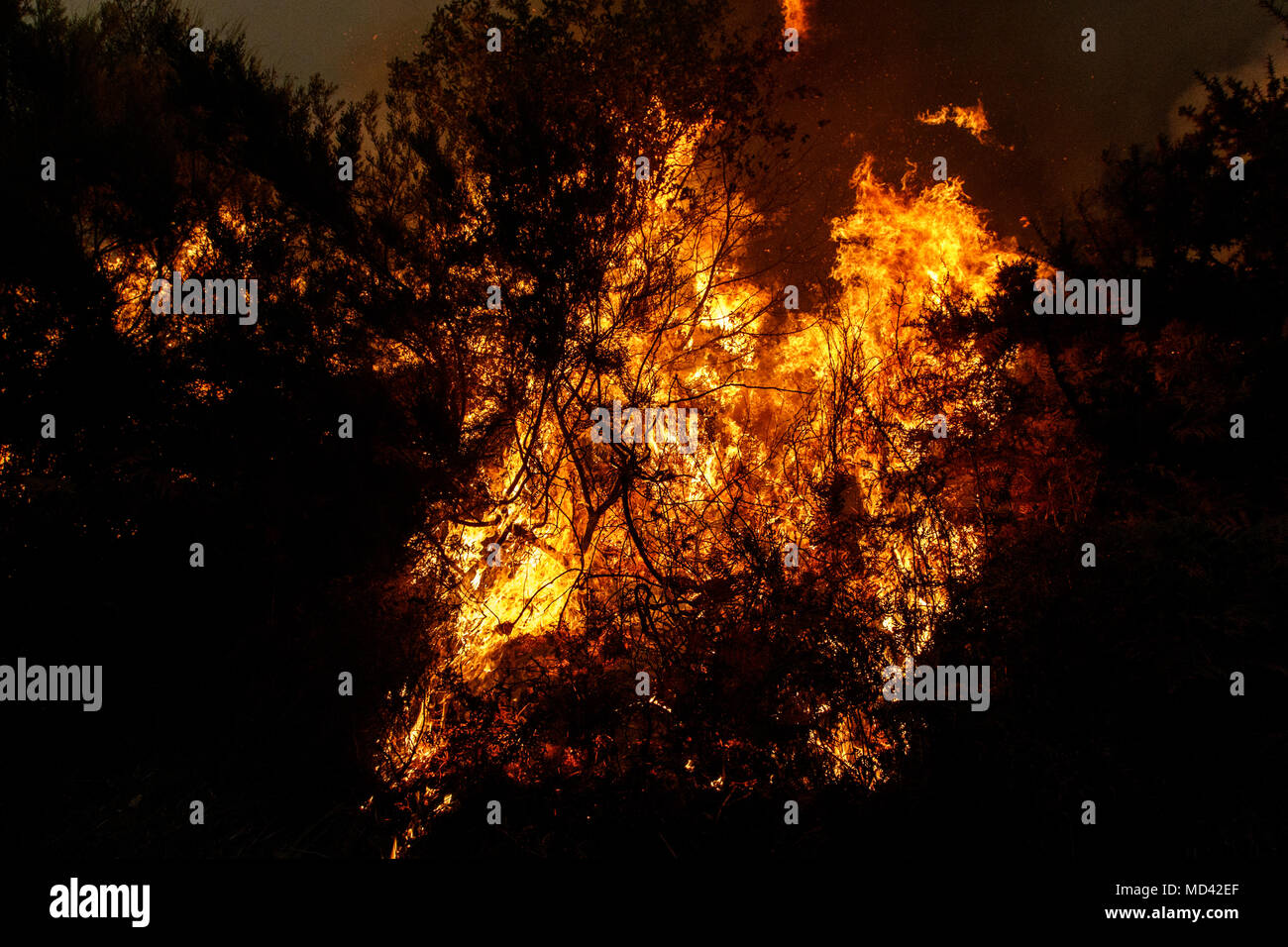 Maceda, Galizia / Spagna - Ott 16 2017: incendio di foresta. Foto Stock