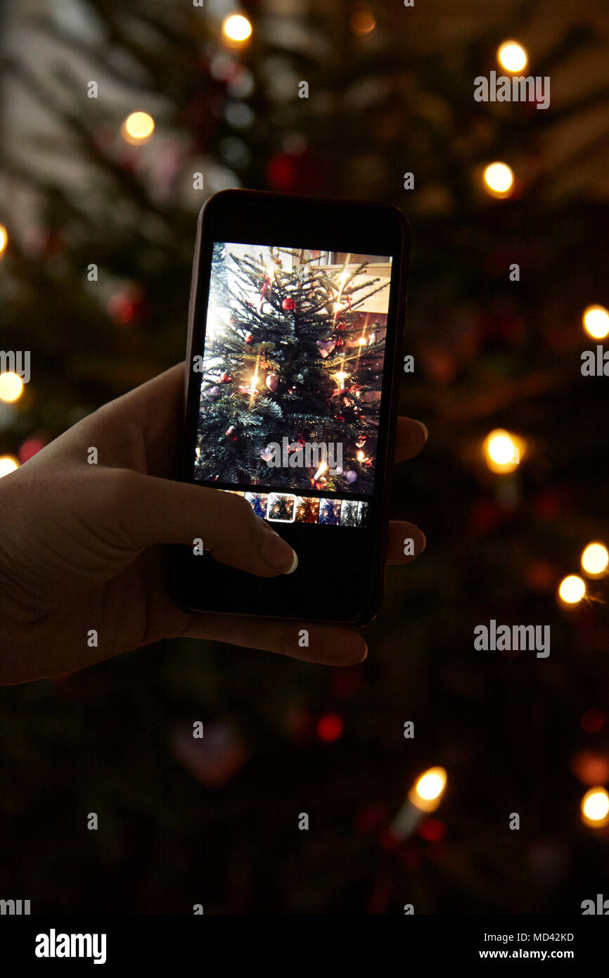 Mano che tiene il telefono cellulare, tenendo fotografia dell albero di Natale Foto Stock