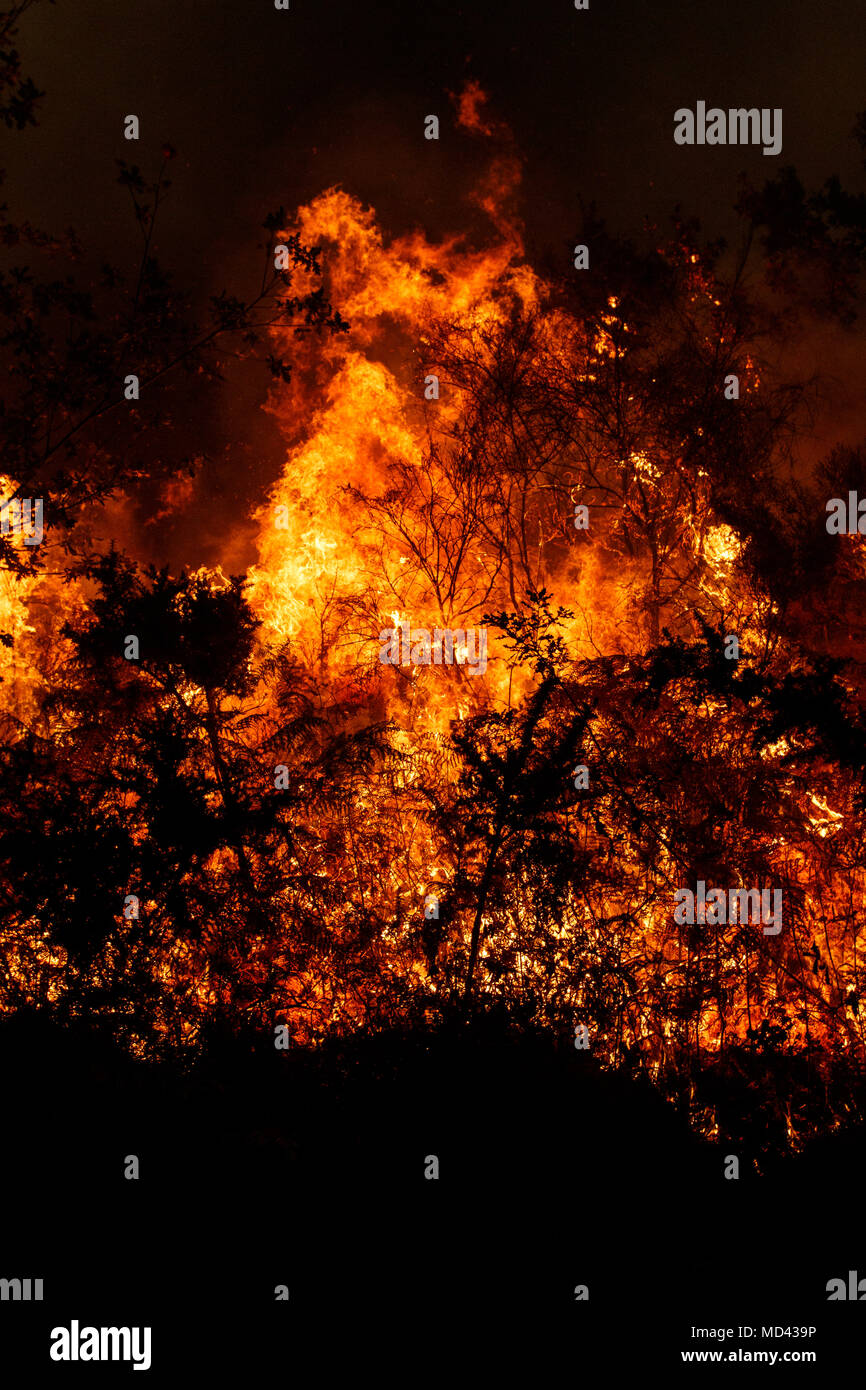 Maceda, Galizia / Spagna - Ott 16 2017: incendio di foresta. Foto Stock