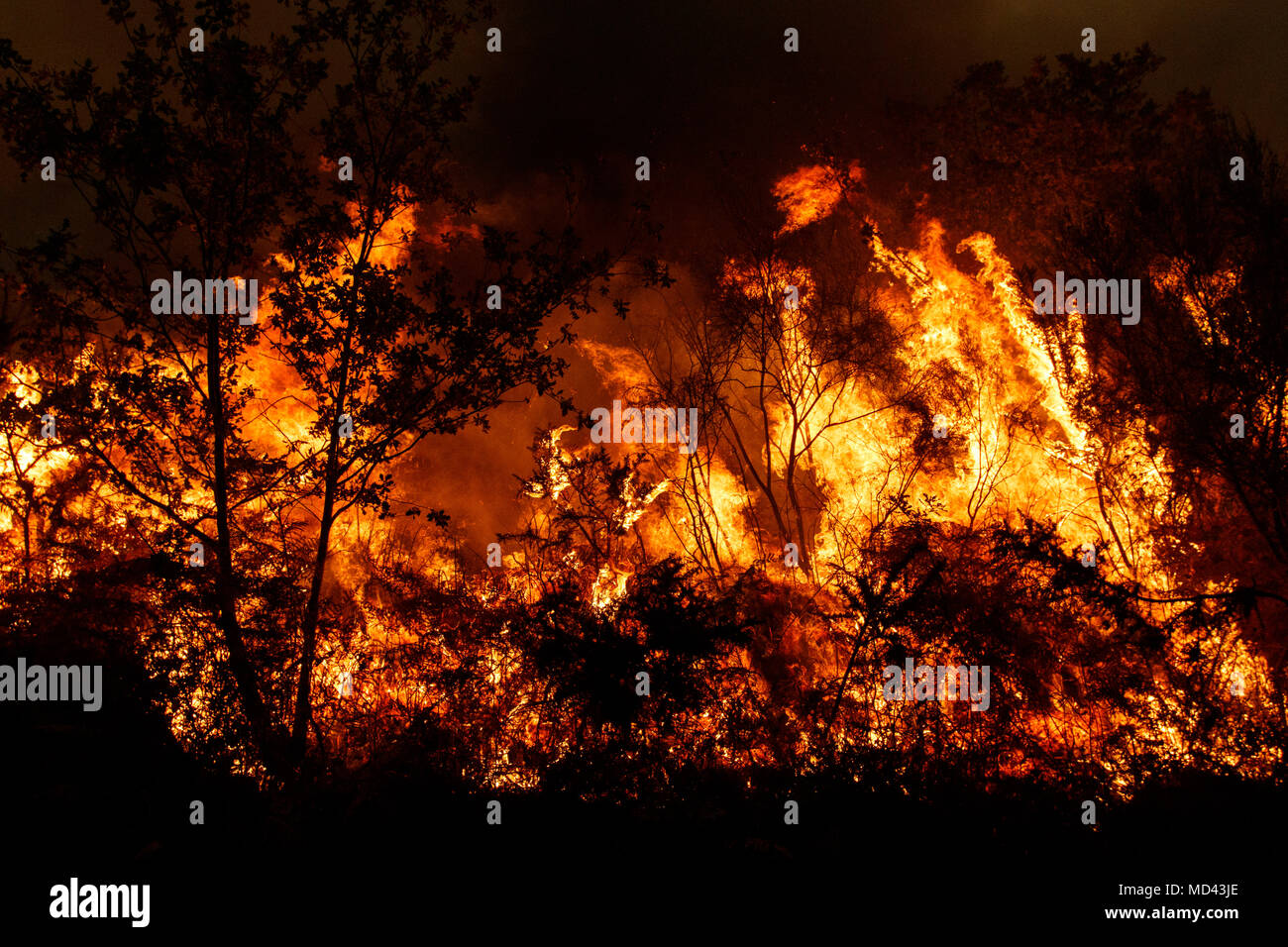 Maceda, Galizia / Spagna - Ott 16 2017: incendio di foresta. Foto Stock