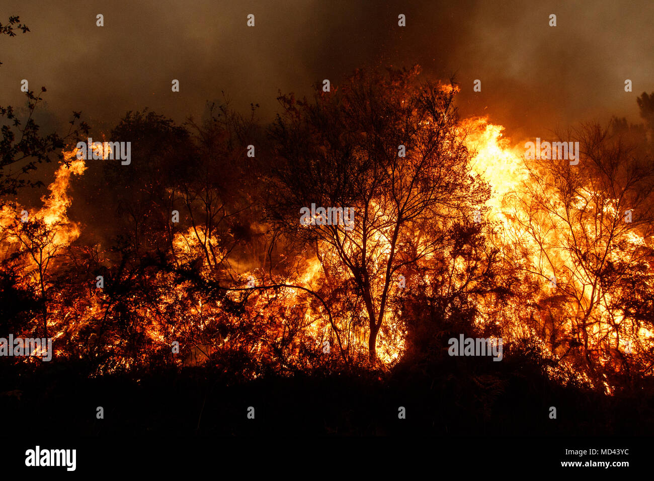 Maceda, Galizia / Spagna - Ott 16 2017: incendio di foresta. Foto Stock
