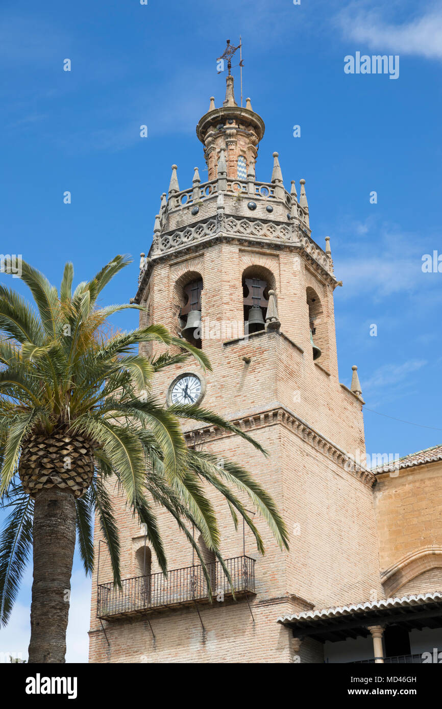 Palm Tree e torre del Iglesia de Santa Maria la Mayor, Ronda, Andalusia, Spagna, Europa Foto Stock