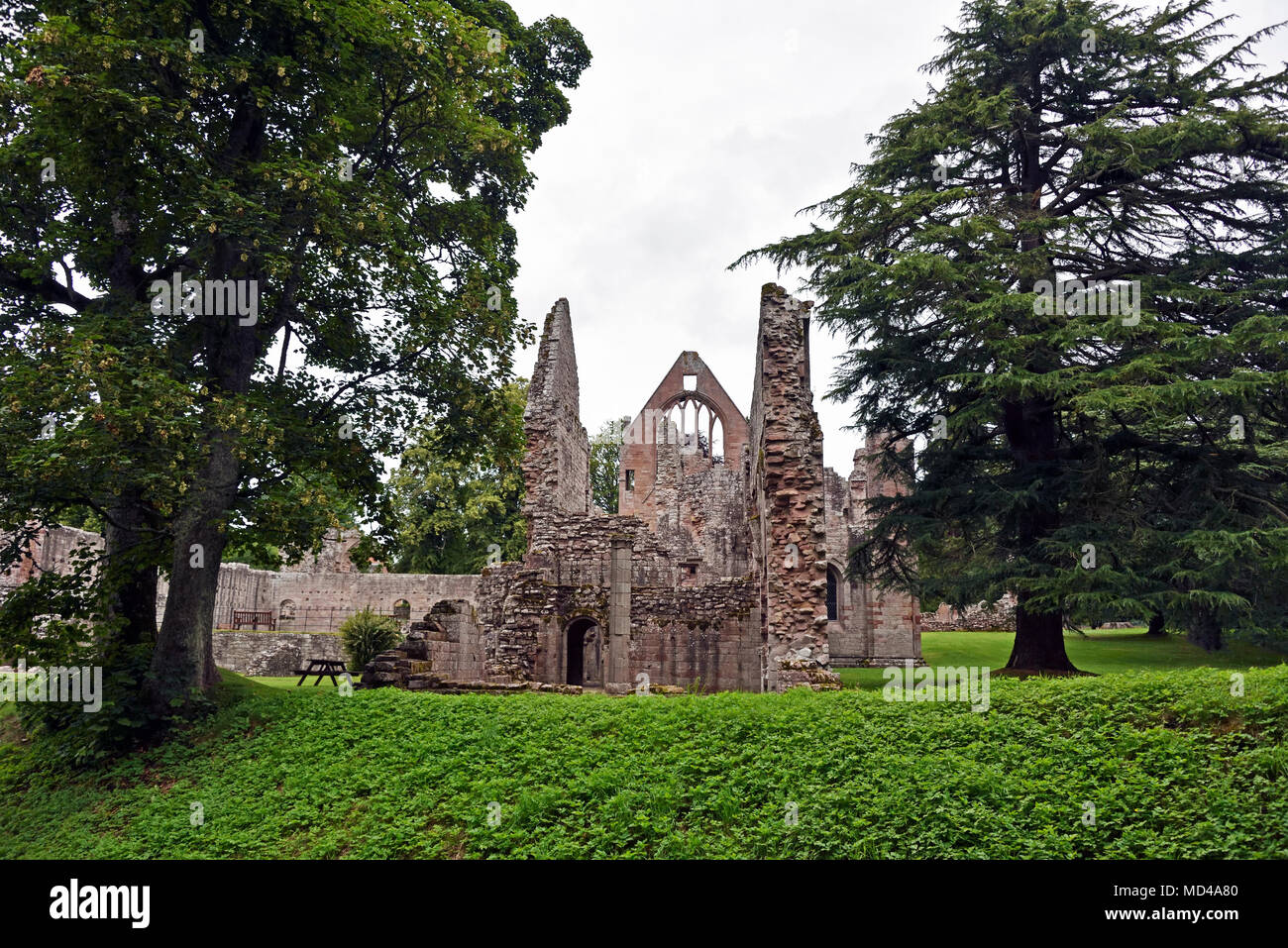 Dryburgh Abbey. Dryburgh, St.Boswells, Roxburghshire, Scottish Borders, Scotland, Regno Unito, Europa. Foto Stock