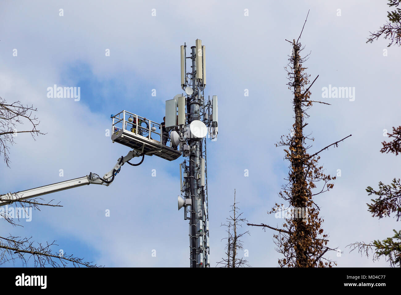 Due tecnici che lavorano su una torre di telecomunicazioni Foto Stock