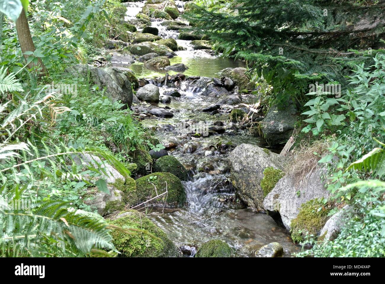 Chamonix Mont Blanc, Alpi francesi Foto Stock