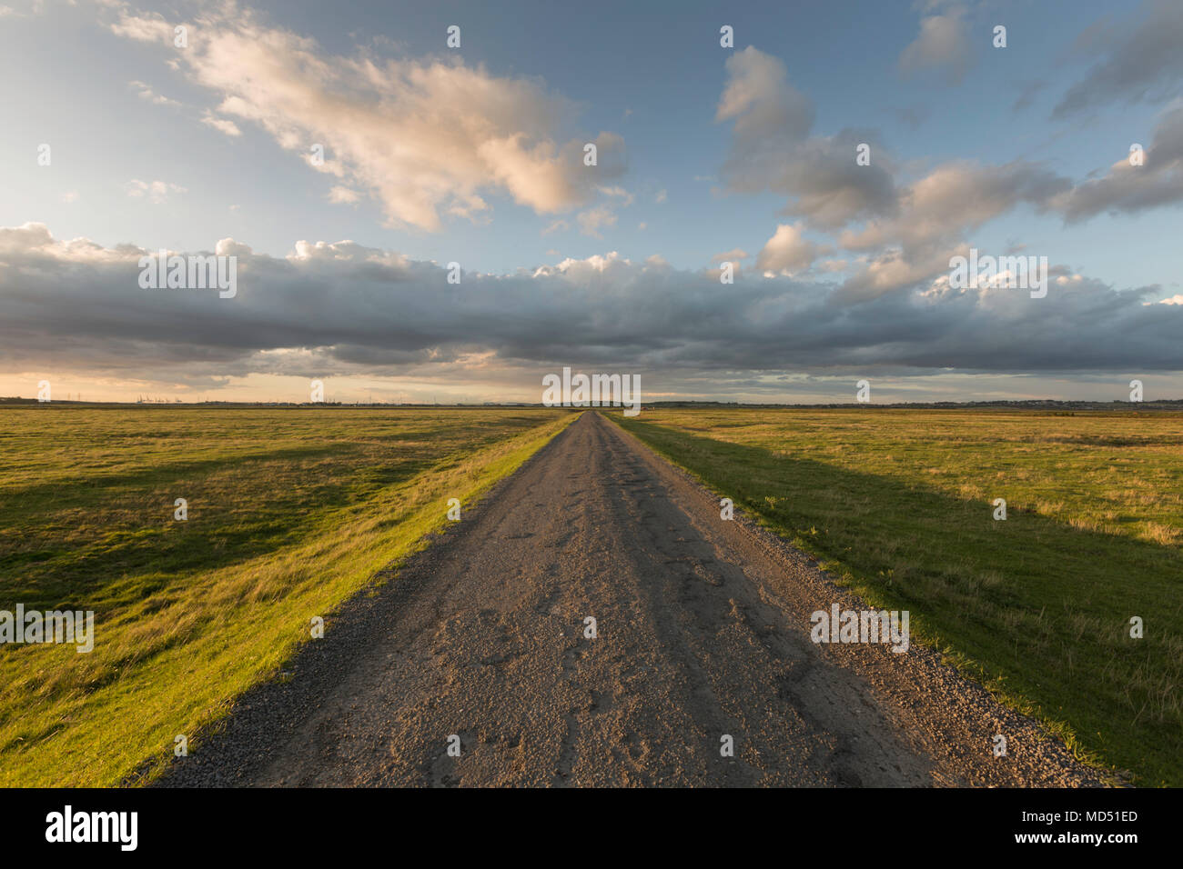 La strada che attraversa la riserva naturale di Elmley Island, Isola di Sheppey, Kent, Regno Unito. Riserva naturale nazionale. Foto Stock