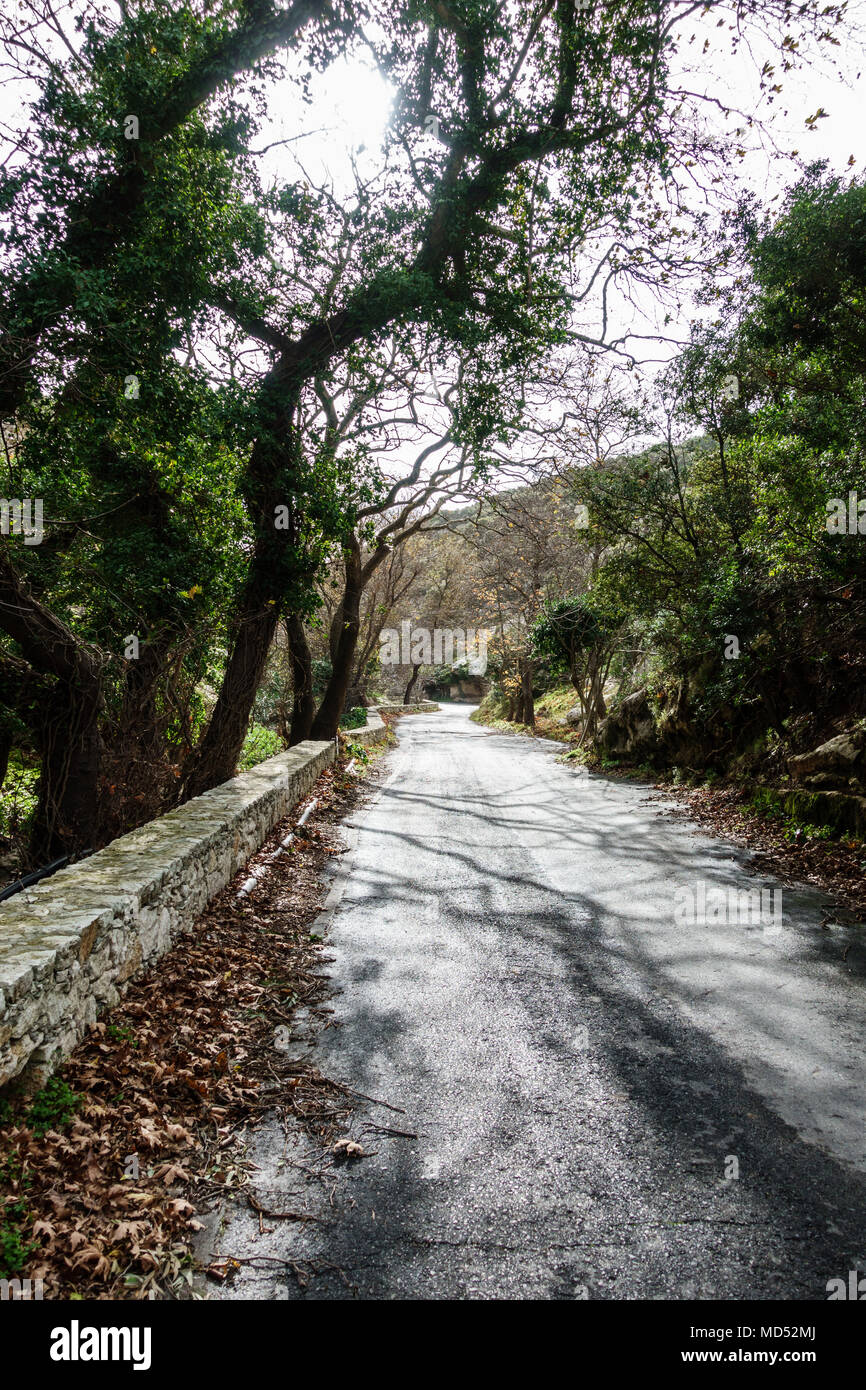 Vista di una lunga strada in mezzo di alberi, Grecia Foto Stock