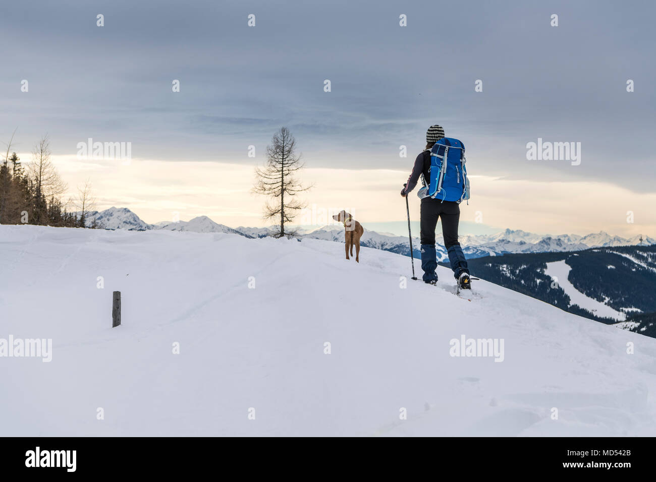 Escursioni con le racchette da neve, Dureggrunde, Stiria, vista di Schladminger Tauern, Austria Foto Stock