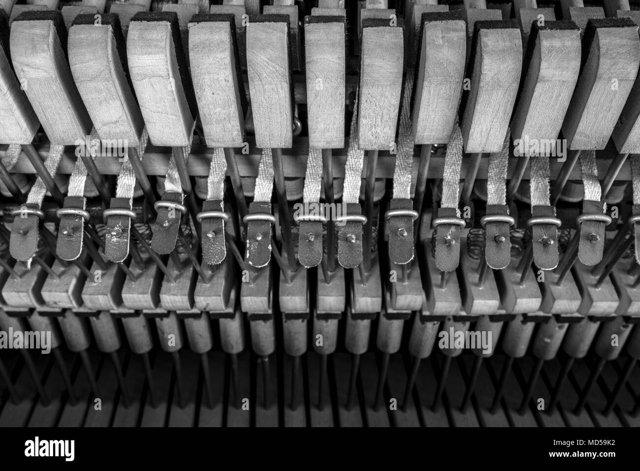 Pianoforte meccanismi interni cose fino Foto Stock