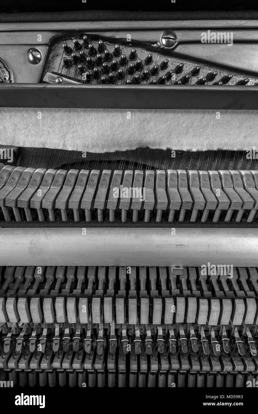 Pianoforte meccanismi interni cose fino Foto Stock