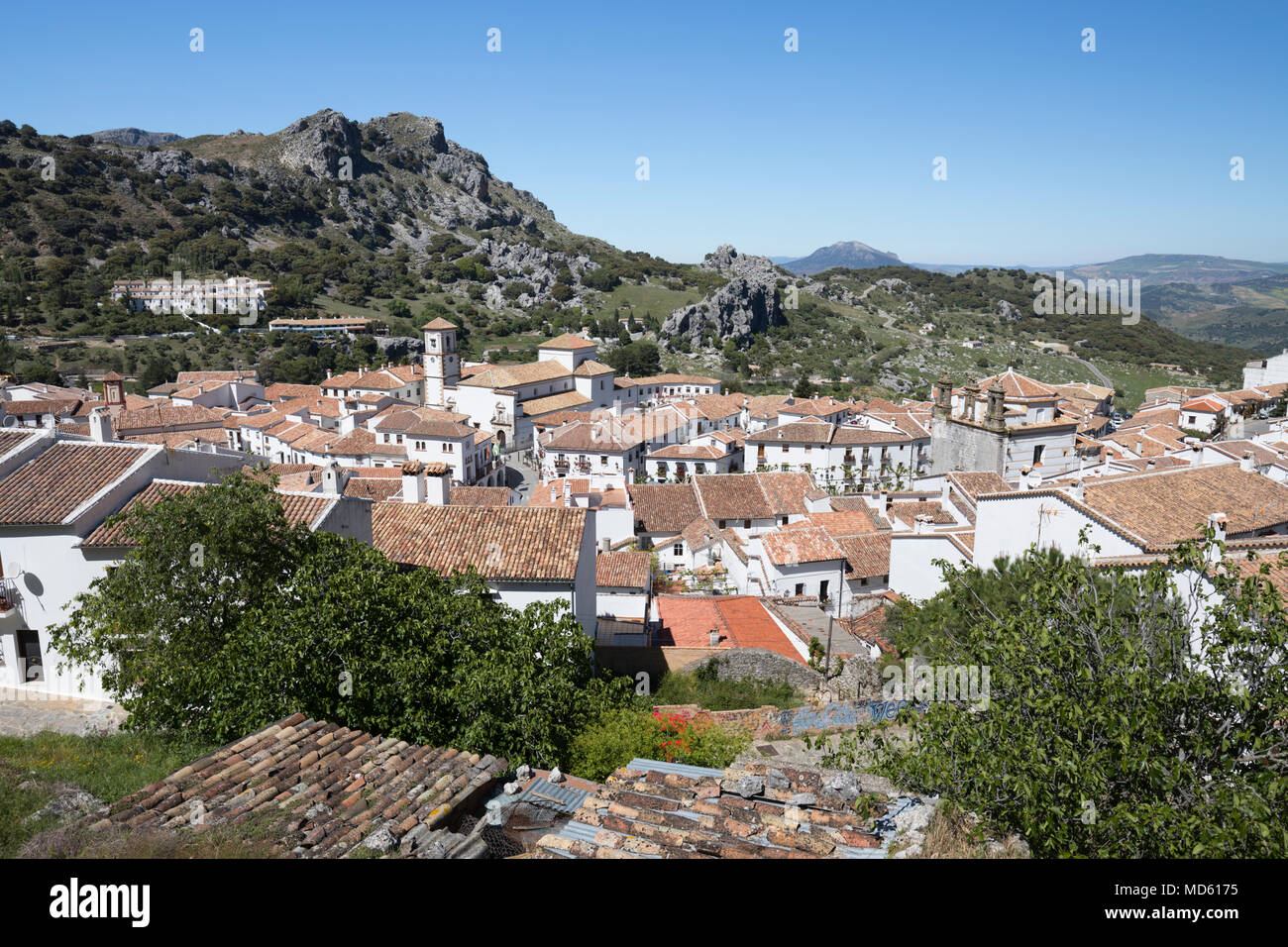 Vista su bianco andaluso village, Grazalema, Sierra de Grazalema parco naturale, Andalusia, Spagna, Europa Foto Stock