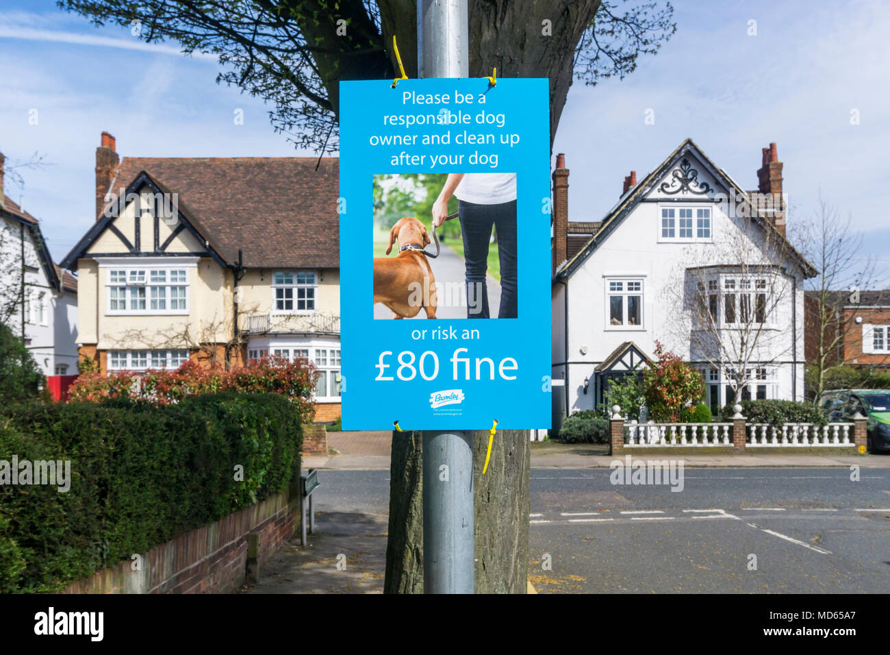 Un segno in una strada suburbana mette in guardia il popolo di un £80 ammenda per mancanza di pulizia dopo il loro cane. Foto Stock