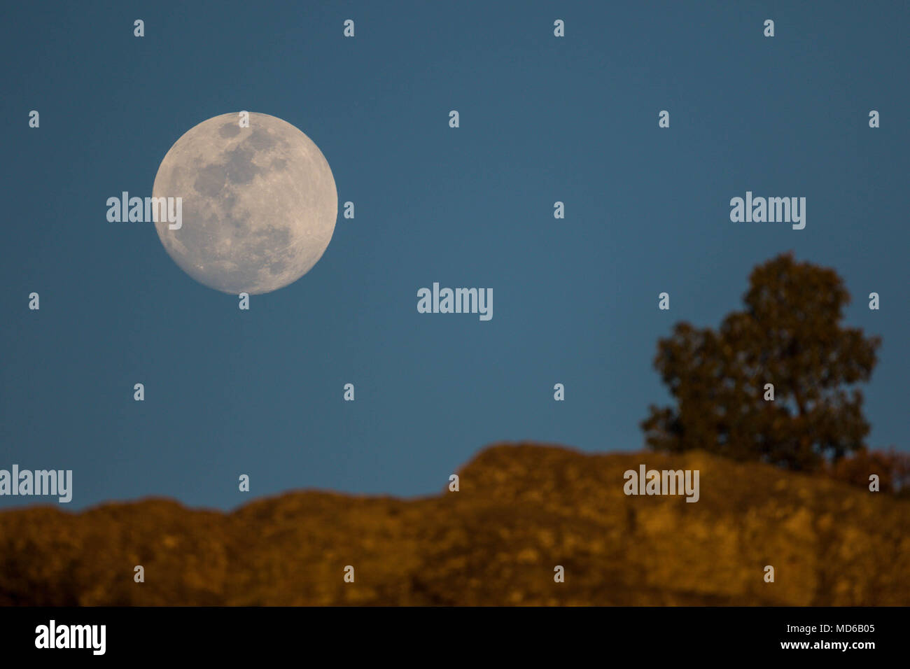 La Luna llena de febrero, Conocida como Luna de Nieve, pudo versetto mientras el satélite ingresaba en la zona de la penombra de la Tierra, en lo que se conoce como onu penumbral eclipse. Aqui se observa su salida en el horizonte de los cerrros cercanos una cantra, Chihuahua, Messico donde habita la comunidad indigena raramuri la luna piena di febbraio, noto come luna di neve, potrebbe essere visto come il satellite entrato nella zona di penombra della terra, in quello che è noto come un penumbral eclipse. Qui si osserva la sua uscita nell'orizzonte delle colline nei pressi di cantra, Chihuahua, Messico dove abita gli indigeni commun Foto Stock