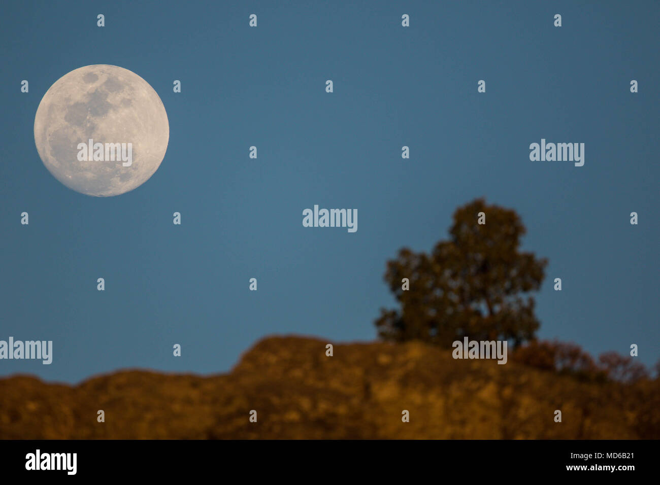 La Luna llena de febrero, Conocida como Luna de Nieve, pudo versetto mientras el satélite ingresaba en la zona de la penombra de la Tierra, en lo que se conoce como onu penumbral eclipse. Aqui se observa su salida en el horizonte de los cerrros cercanos una cantra, Chihuahua, Messico donde habita la comunidad indigena raramuri la luna piena di febbraio, noto come luna di neve, potrebbe essere visto come il satellite entrato nella zona di penombra della terra, in quello che è noto come un penumbral eclipse. Qui si osserva la sua uscita nell'orizzonte delle colline nei pressi di cantra, Chihuahua, Messico dove abita gli indigeni commun Foto Stock