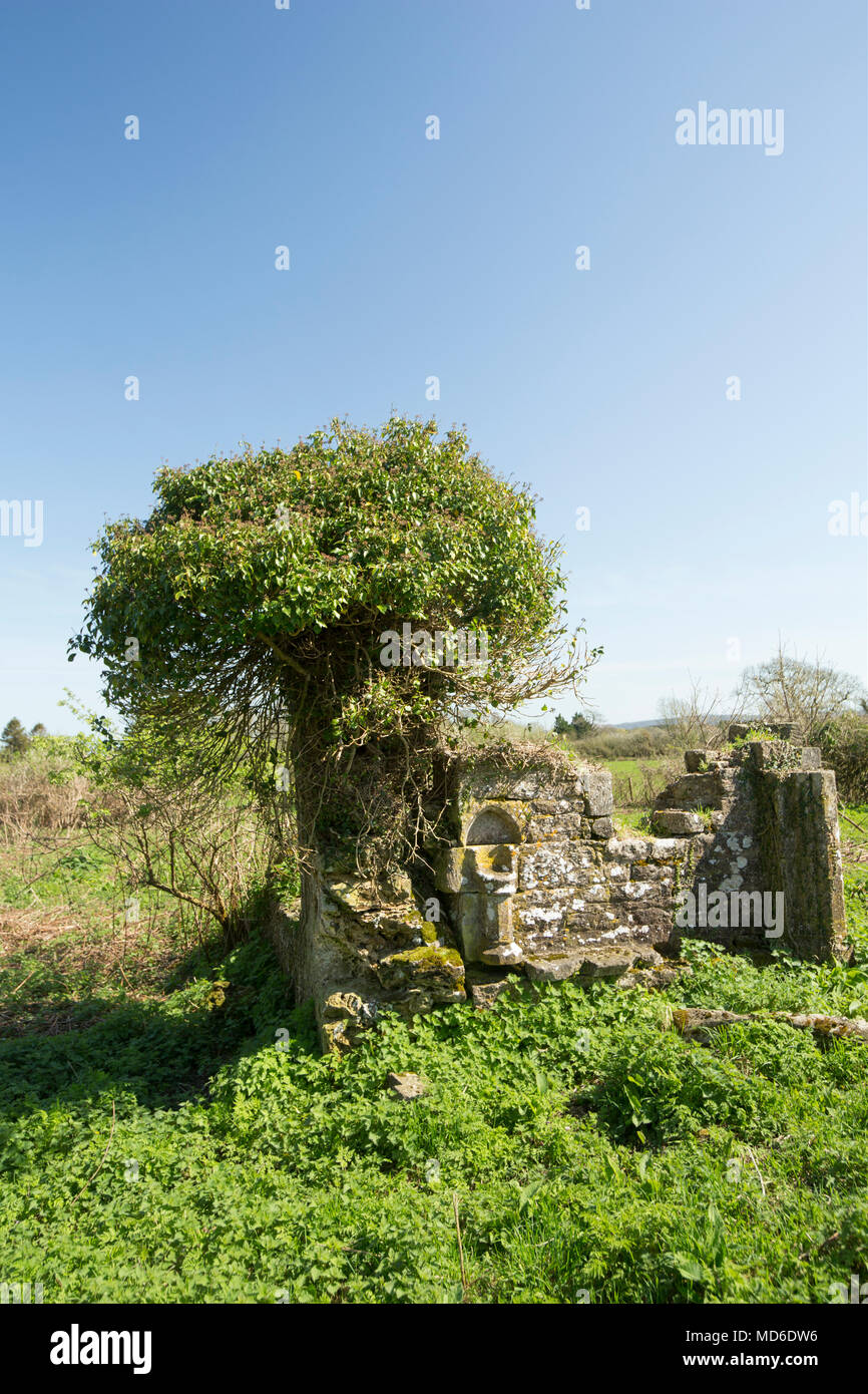 Rimane la chiesa di Santa Maria e il cimitero est Stoke Dorset England Regno Unito. Un segno presso il sito afferma che la maggior parte della chiesa risale al XV sec. Foto Stock