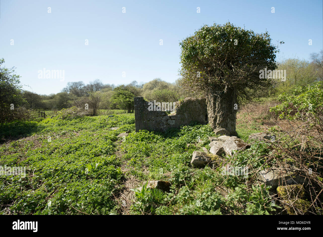 Rimane la chiesa di Santa Maria e il cimitero est Stoke Dorset England Regno Unito. Un segno presso il sito afferma che la maggior parte della chiesa risale al XV sec. Foto Stock