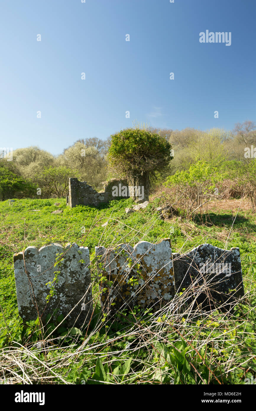 Rimane la chiesa di Santa Maria e il cimitero est Stoke Dorset England Regno Unito. Un segno presso il sito afferma che la maggior parte della chiesa risale al XV sec. Foto Stock