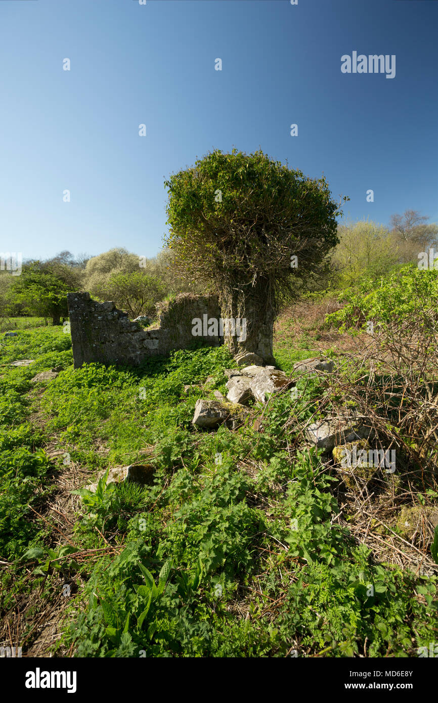Rimane la chiesa di Santa Maria e il cimitero est Stoke Dorset England Regno Unito. Un segno presso il sito afferma che la maggior parte della chiesa risale al XV sec. Foto Stock