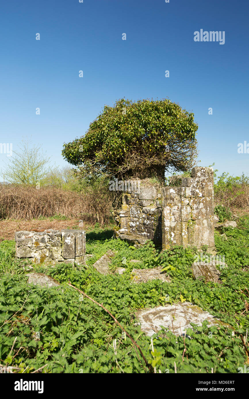 Rimane la chiesa di Santa Maria e il cimitero est Stoke Dorset England Regno Unito. Un segno presso il sito afferma che la maggior parte della chiesa risale al XV sec. Foto Stock