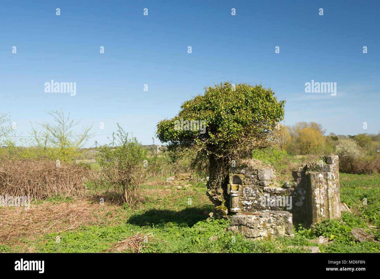 Rimane la chiesa di Santa Maria e il cimitero est Stoke Dorset England Regno Unito. Un segno presso il sito afferma che la maggior parte della chiesa risale al XV sec. Foto Stock