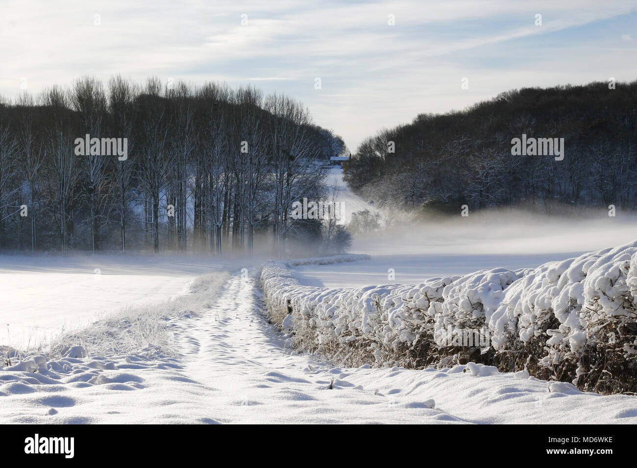 Campi di nebbia e neve Foto Stock