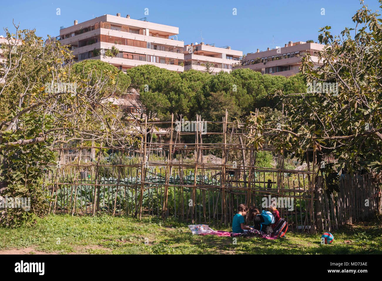 Roma. Urban garden Tre Fontane. L'Italia. Foto Stock