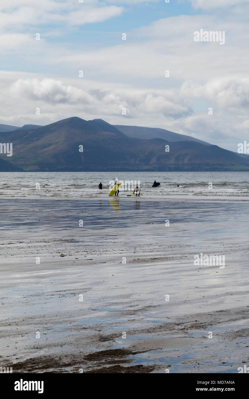 Surf sulla Costa dell'Oceano Atlantico in primavera, spiaggia, sabbia, misty, montagna, surfisti Foto Stock