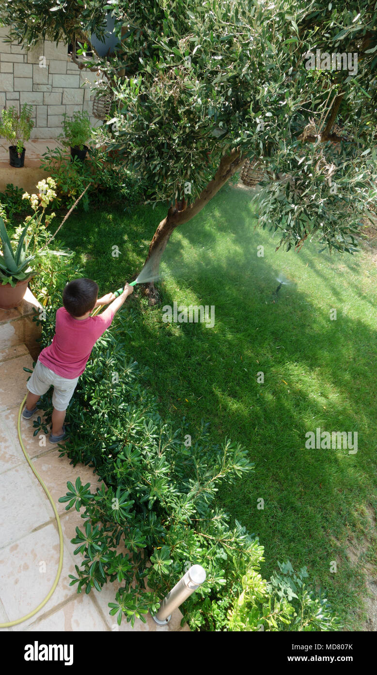 Little Boy giardino irrigazione con tubo flessibile Foto Stock