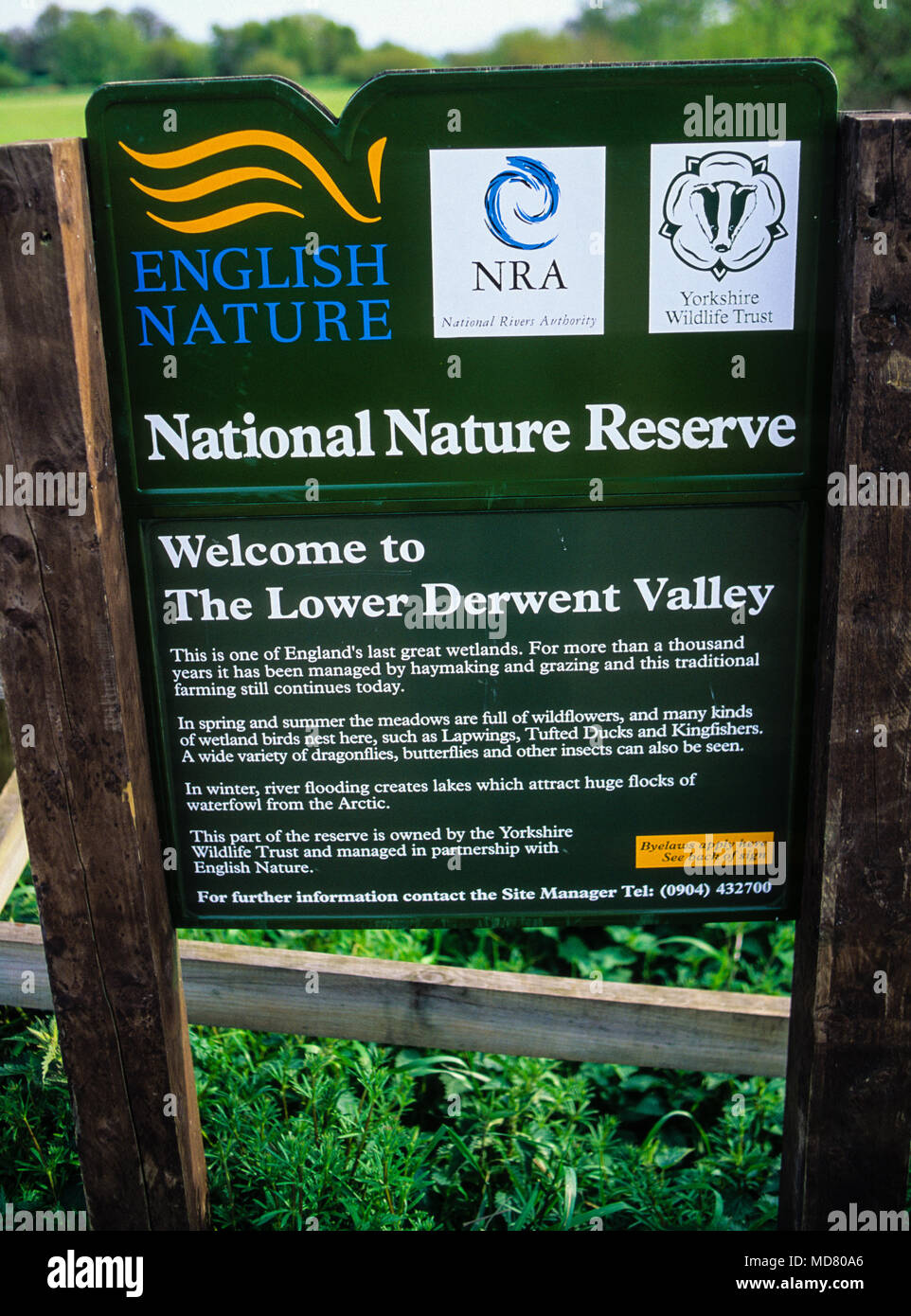 La parte inferiore della Valle del Derwent Riserva Naturale Nazionale, abbassare il Fiume Derwent Ings SSSI, South Yorkshire, Inghilterra, Regno Unito, GB. Foto Stock