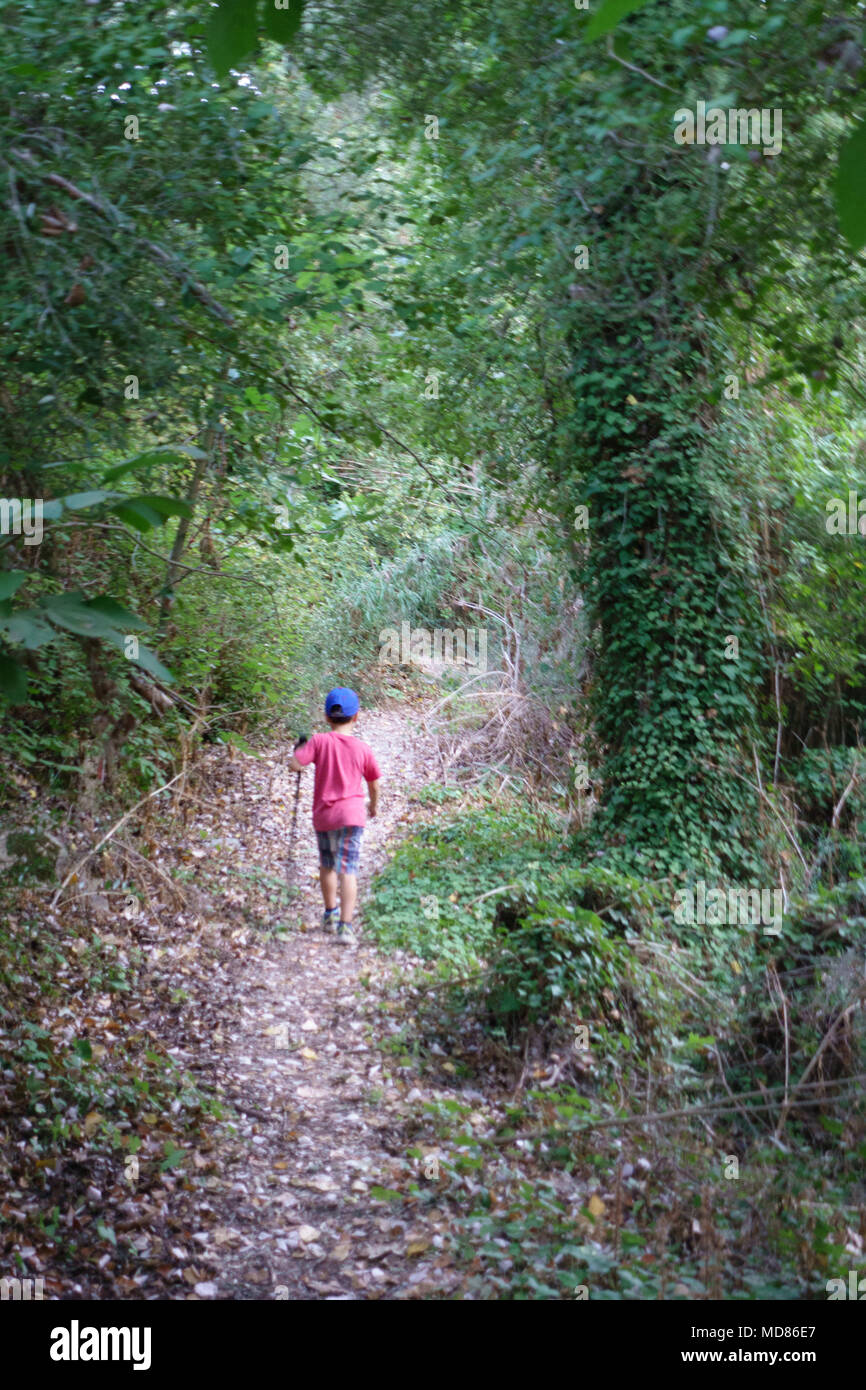 Little Boy a piedi sulla strada forestale in mezzo di alberi, Creta, Grecia Foto Stock