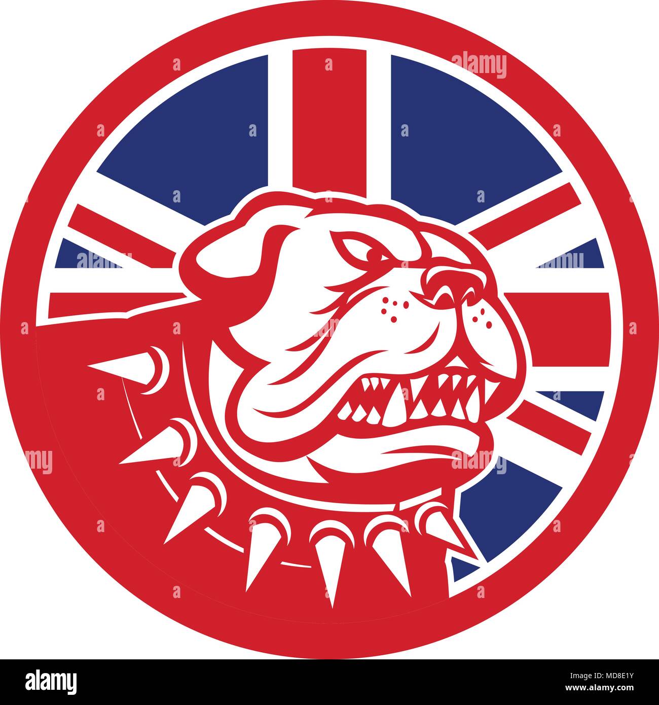 Icona di stile retrò illustrazione della testa di un Bulldog Inglese o British Bulldog waering collare spinato con Regno Unito Regno Unito, Gran Bretagna Unione Jack Illustrazione Vettoriale