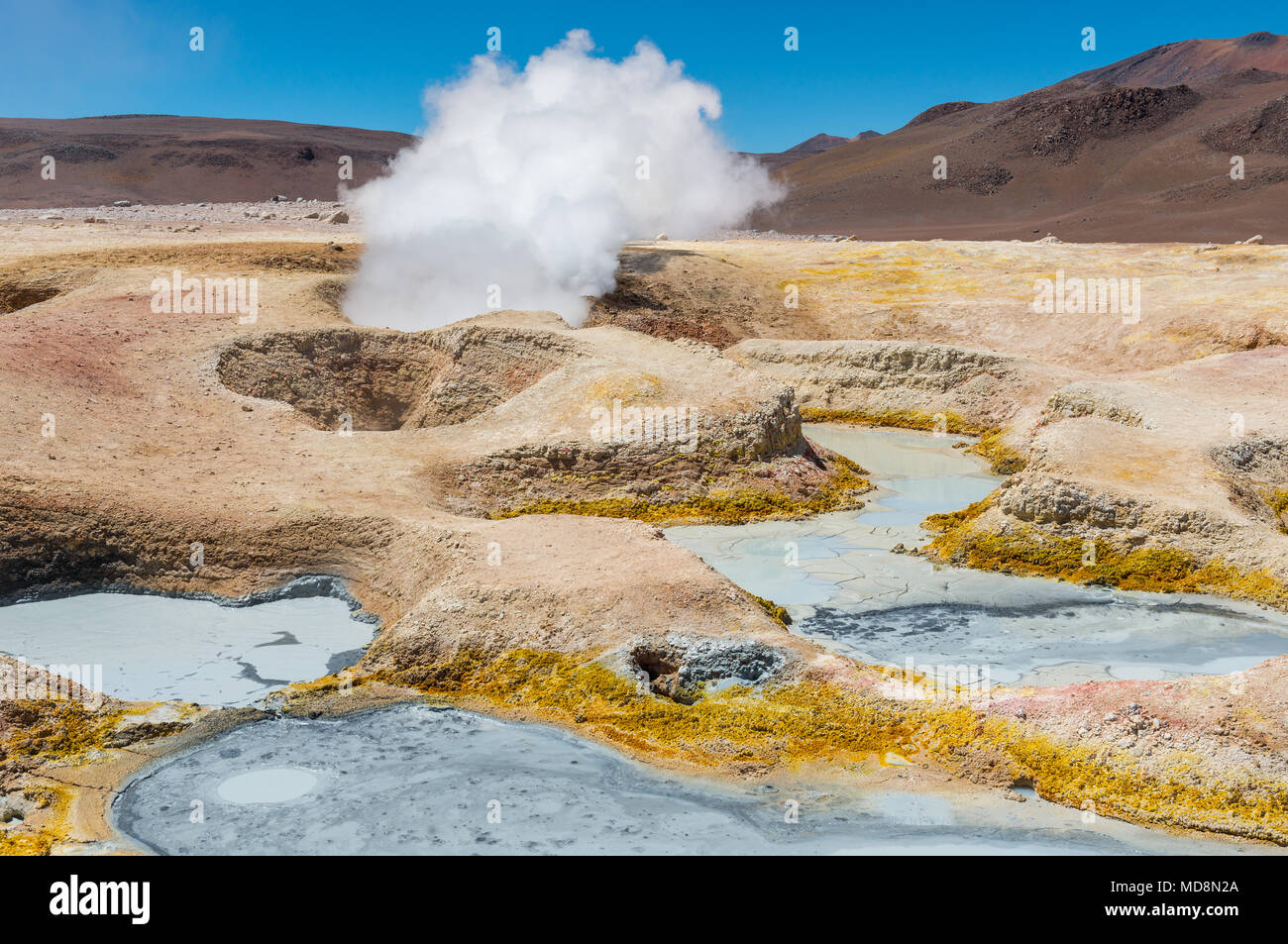 L'attività vulcanica del Sol de Mañana in Bolivia vicino al confine con il Cile e il sale di Uyuni piatto. Vediamo fango box e fumarole con vapore acqueo. Foto Stock