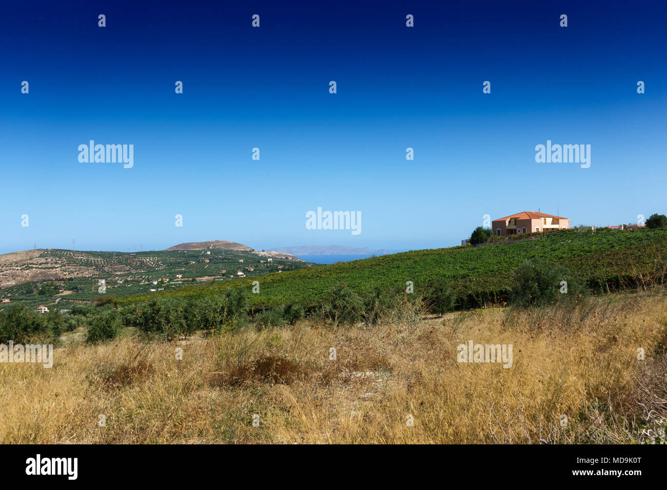 Vista panoramica del campo di erba e agriturismo, Creta, Grecia Foto Stock