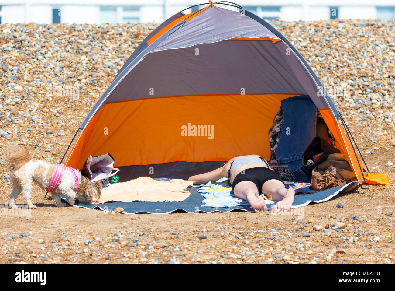 Hastings, East Sussex, Regno Unito. Xix Apr, 2018. Regno Unito Meteo: una giornata calda nella cittadina balneare di Hastings sulla costa sud est con temperature dovrebbero superare 23°C. Un sacco di persone sono fuori e circa approfittando del mini ondata di calore e seduto sulla spiaggia che sta colpendo la Gran Bretagna. © Paul Lawrenson 2018, Photo credit: Paolo Lawrenson / Alamy Live News Foto Stock