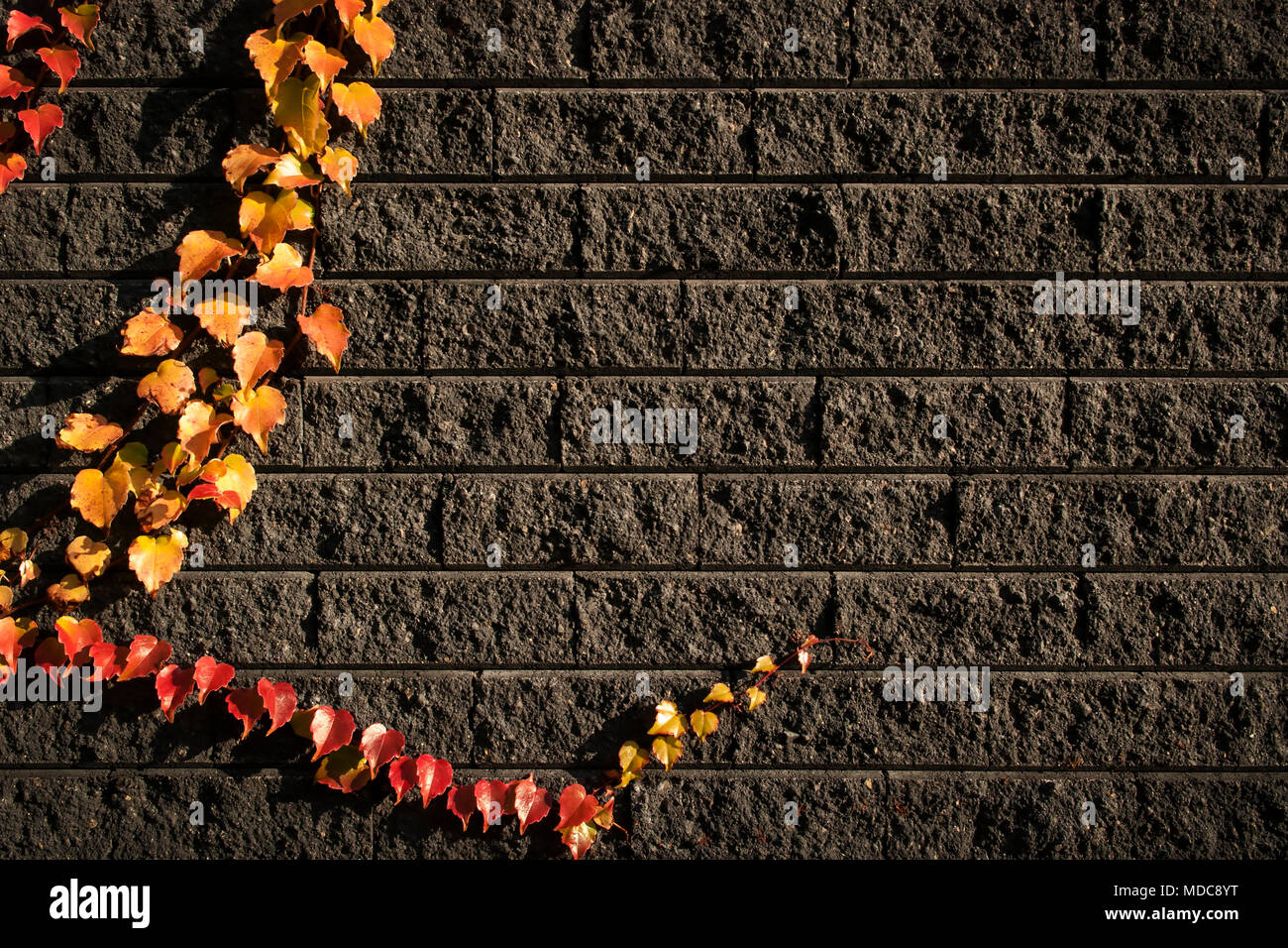 Foglie di autunno sui mattoni sfondo. Foto Stock