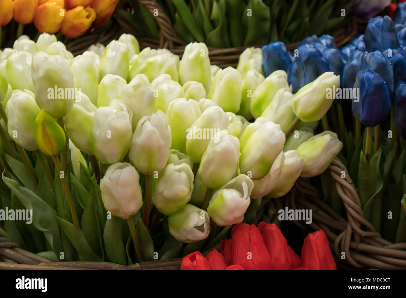 Falsa Seta tulipani sul mercato di Amsterdam. Foto Stock