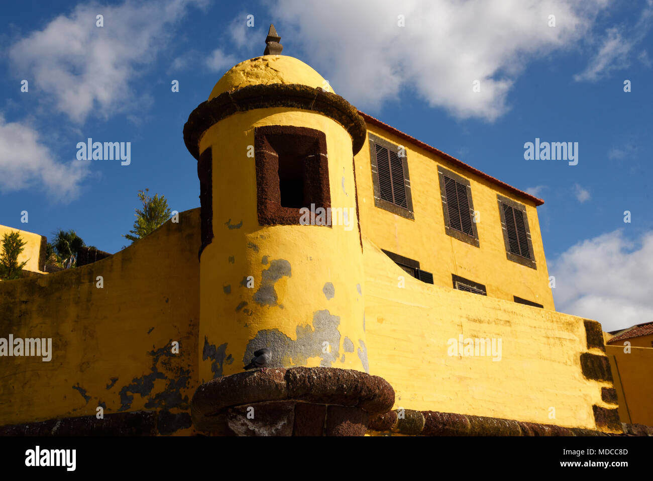 Il giallo antica fortezza di Sao Tiago con le sue piattaforme di balneazione nell'Oceano Atlantico Foto Stock