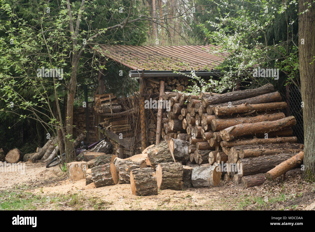 Catasta di legna da ardere per l'inverno Foto Stock