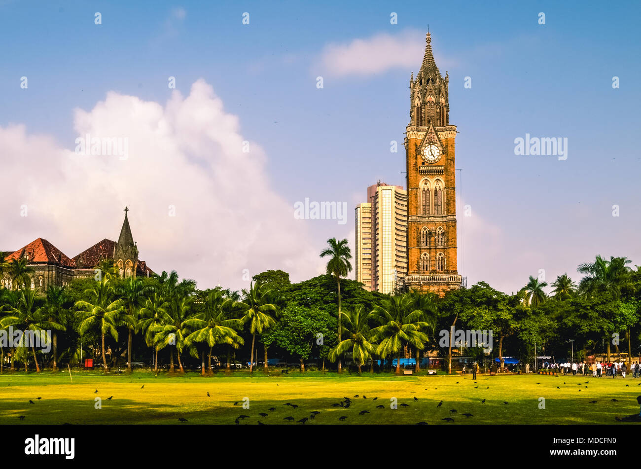 Il Rajabai Clock Tower è la torre dell orologio nel sud di Mumbai in India. È vicino il Maidan ovale e Bombay High Court Foto Stock