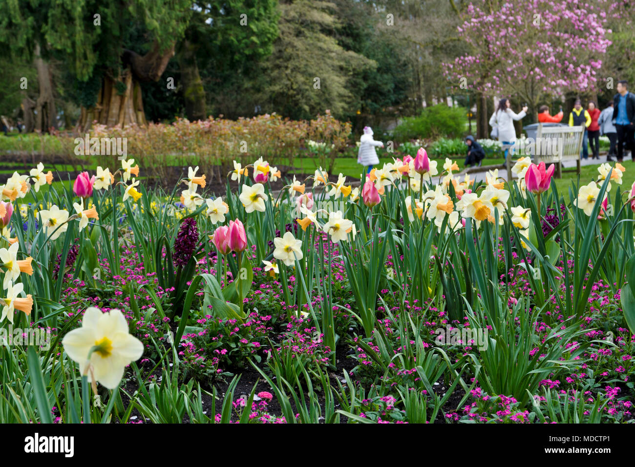 Bellissimi fiori di primavera a Stanley Park a Vancouver in Canada. Le persone che si godono le fioriture primaverili nel Parco di Stanley. Foto Stock