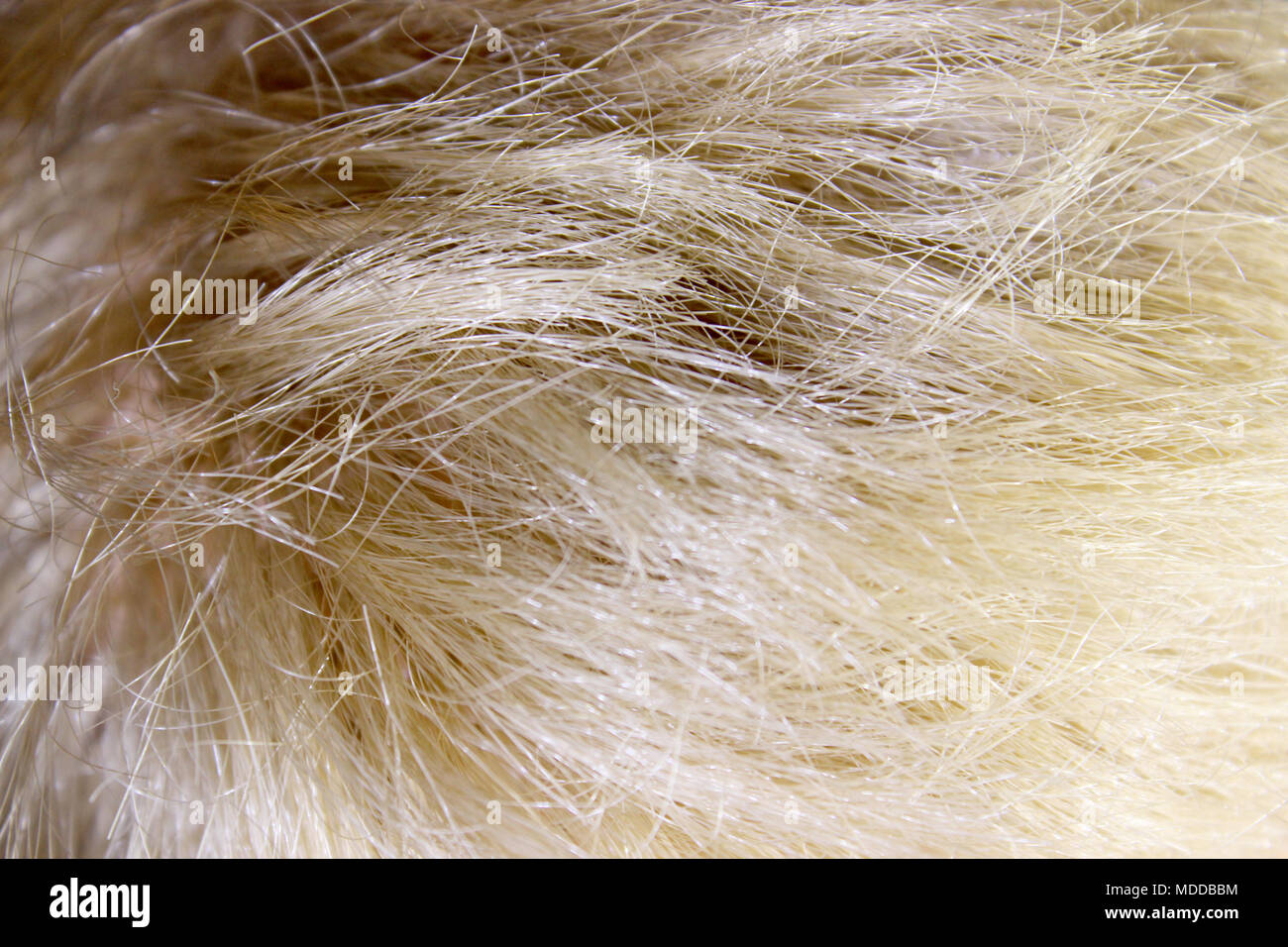 Toy baby capelli Foto Stock